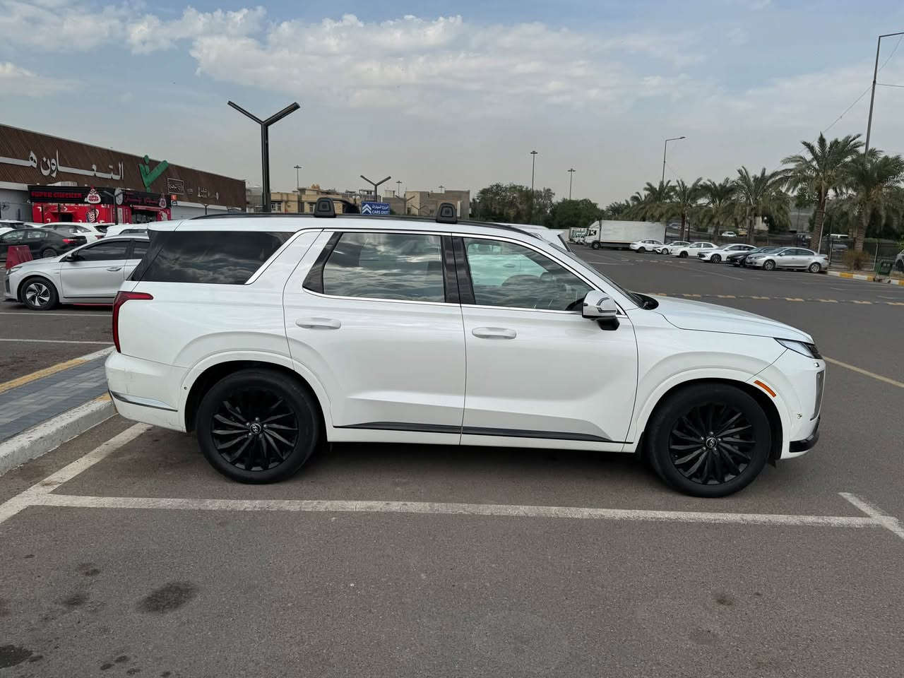 باليسايد • كاليجرافي • ٢٠٢٤
