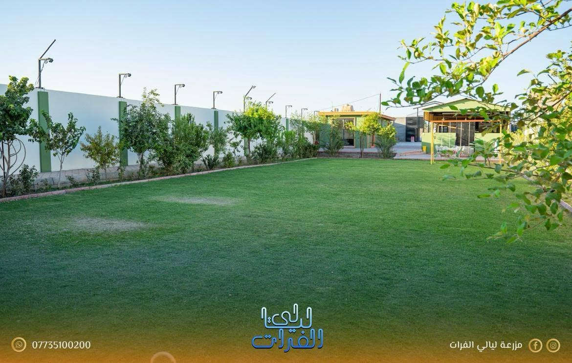🔥 عرض خاص لفترة محدودة 🔥

☀️ الشفت الصباحي في مزرعة ليالي الفرات
💰 150 ألف دينار فقط

🕘 من 9:00 صباحًا إلى 6:00 مساءً

🌿 يوم كامل من الهدوء، الطبيعة، ونسمات الفرات بأفضل سعر.

📍 النعيمية – بين أبو غريب والفلوجة
📞 للحجز: ***********
