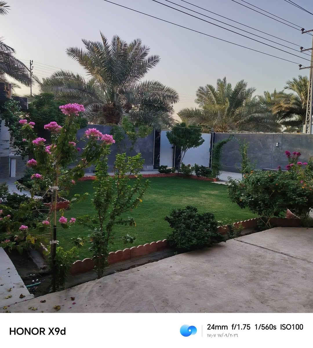 فلاح حدائق • مكينة ثيل • تقليم أشجار