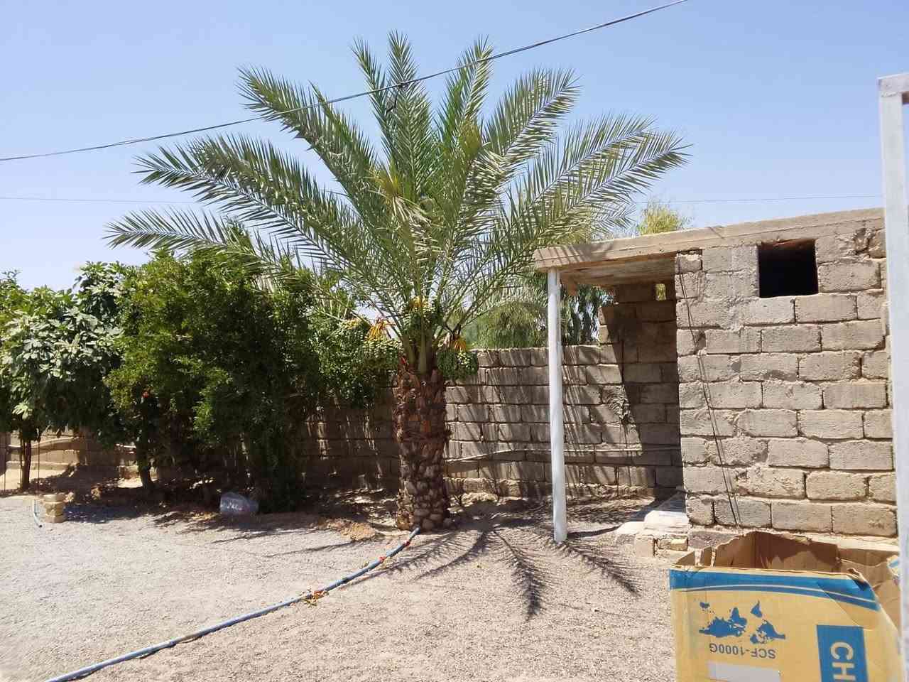 بيت زراعي • ٧٠٠م • ٢٠٠م بناء