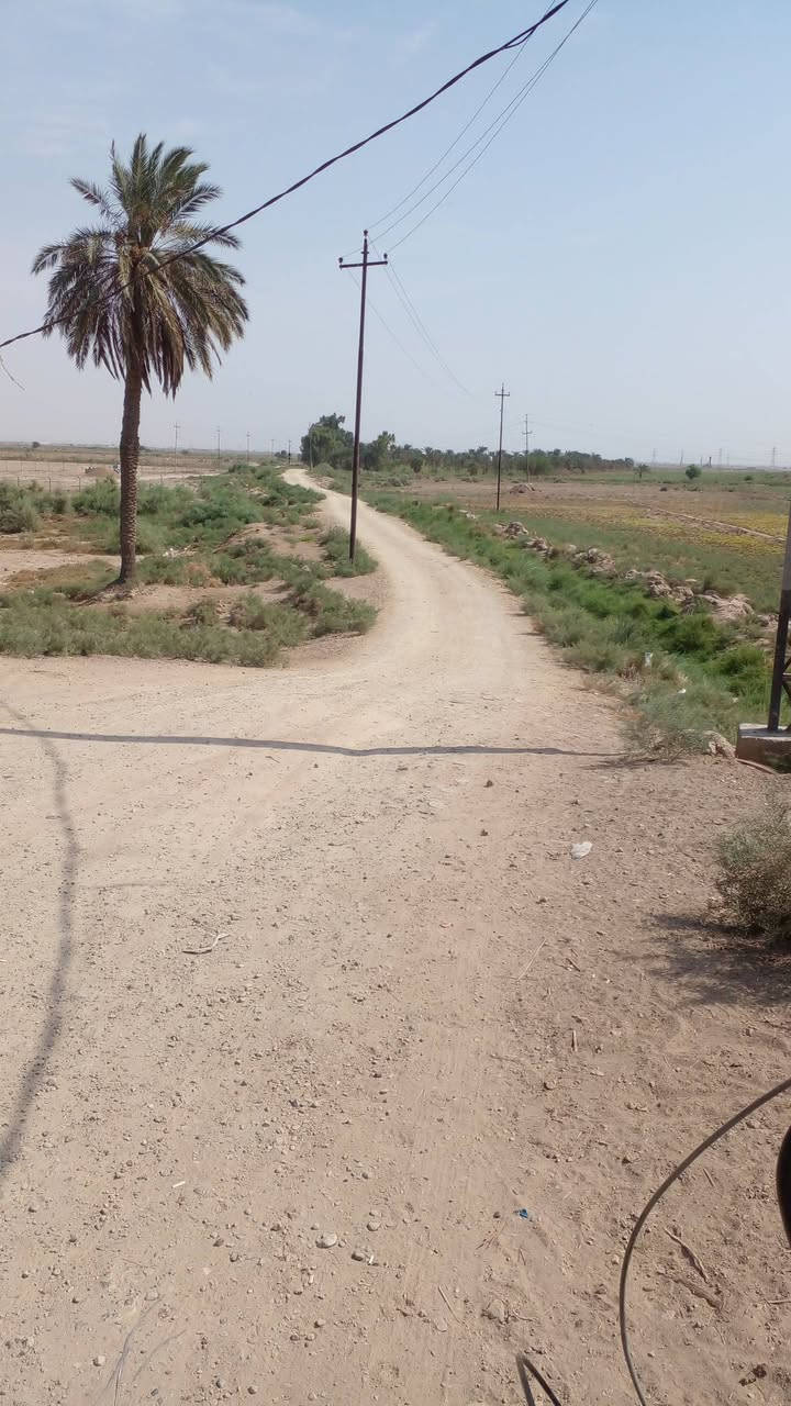 كصيبة الاولى ميسان • ٩ دوانم • ١٠٠٠ نخلة