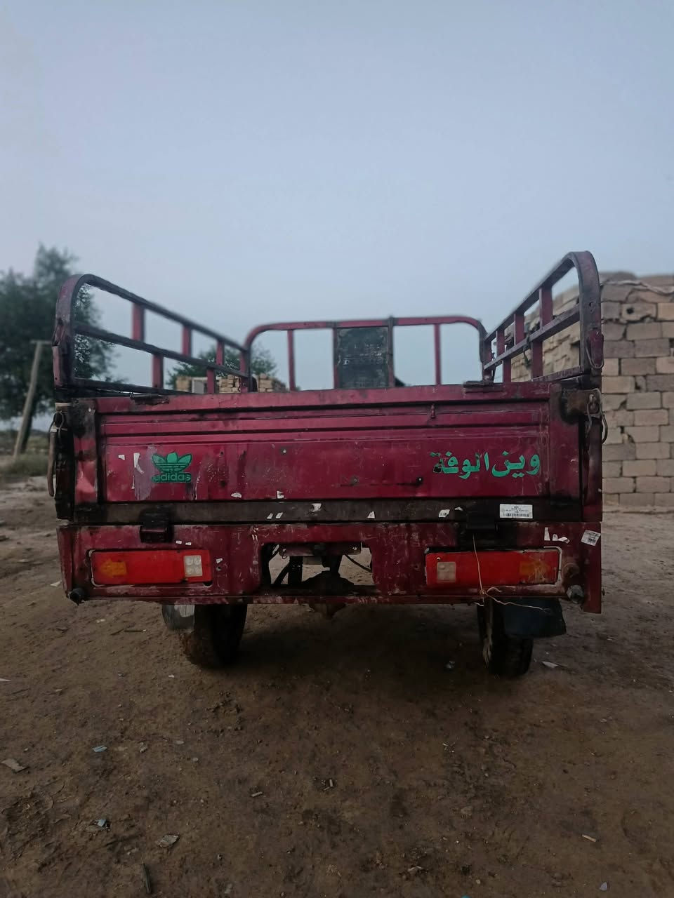 ستوته • فحل • موديل ١٩