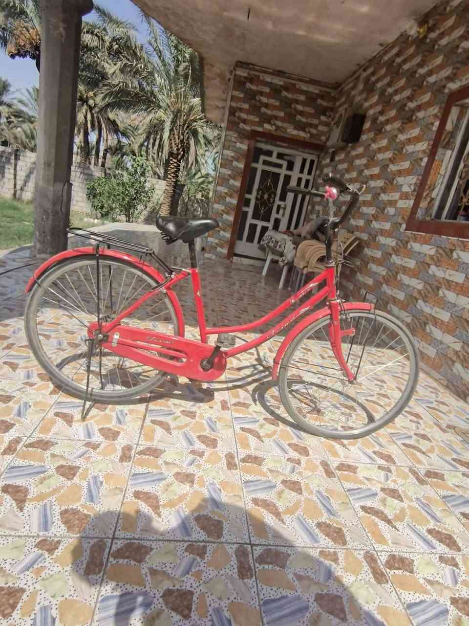 موديل ٢١ • حجم ٢٦ • جديد