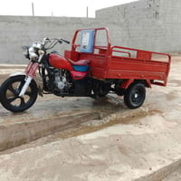 ستوته • موديل ١٧ • اوراق