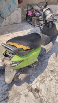 فراشة • شغالة • هندل
