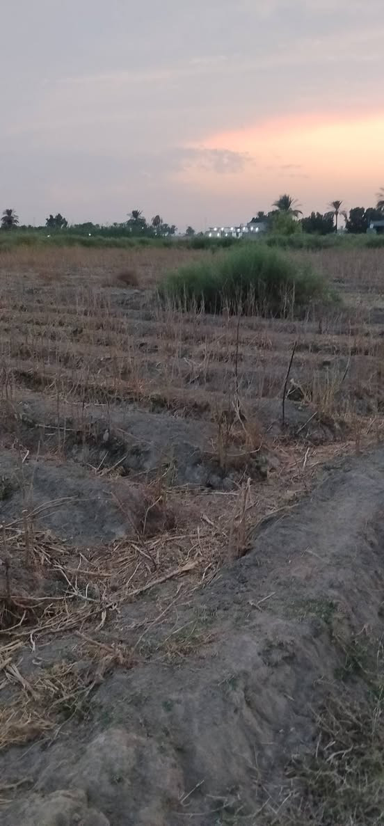 دونم • المسيب • سند ٢٥