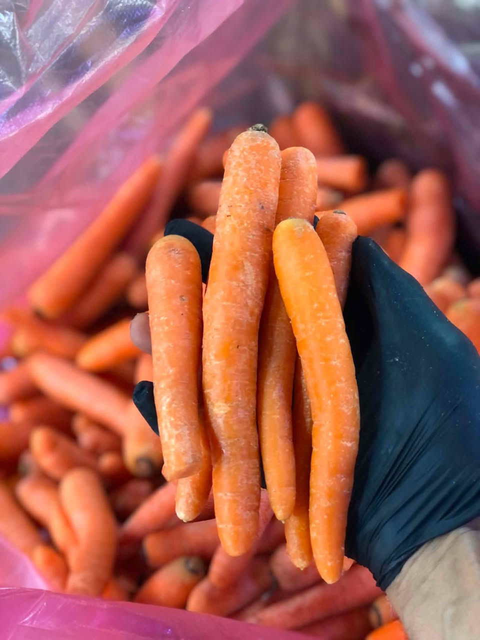 🥬🍅🍎
تسوق وانت بمكانك وخلي راحتك علينا 🌿
نوفرلكم أجود أنواع الخضروات والفواكه الطازجة يومياً 

منتجاتنا مختارة بعناية حتى توصلكم بأفضل جودة وطعم

📦 توصيل سريع لباب البيتك 
📍 توصيل جميع مناطق  العزيزية مدينتي  ب1000 فقط 

لا تتعب نفسك بالسوق… إحنا نجيب السوق لعندك 😉
للطلب والاستفسار راسلونا خاص 📩
الواتساب ***********
او الاتصال ***********
