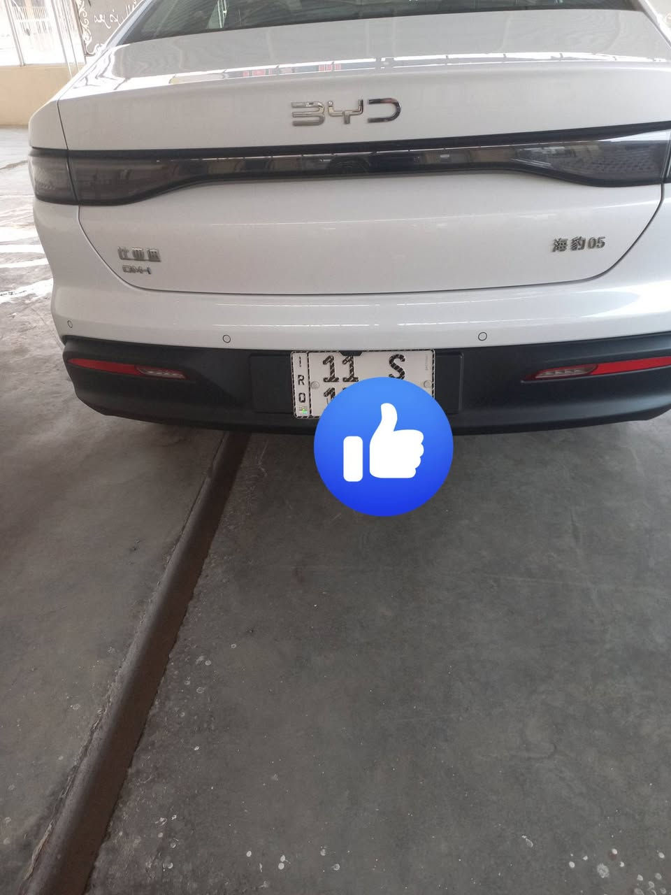 سيل فيف • مكفول • ملاحظة بسيطة