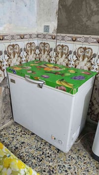 مجمده • شغاله • نضيفه