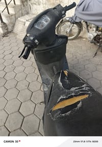 فراشة • مفتوحة • النجف