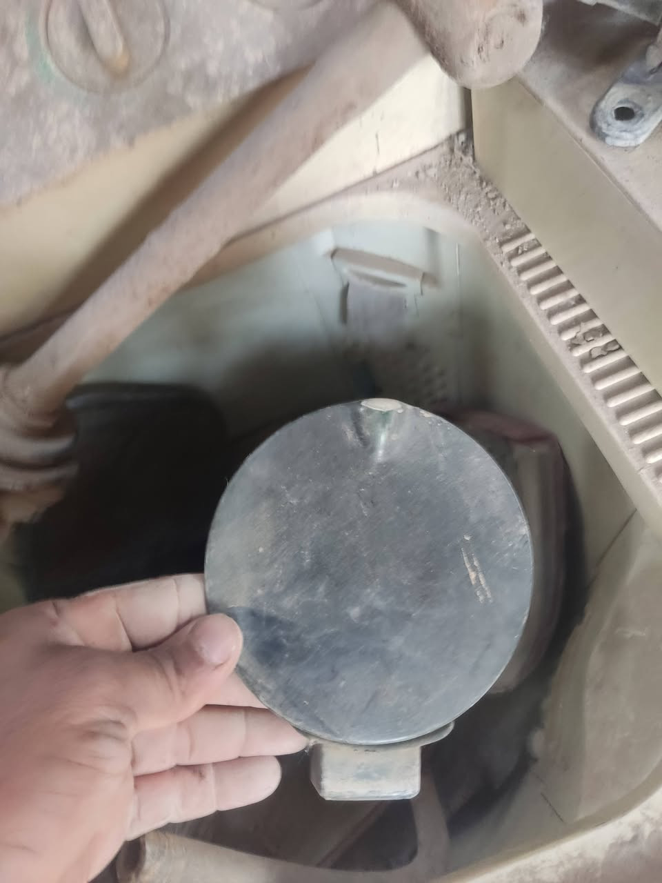 ***********بابل القاسم
