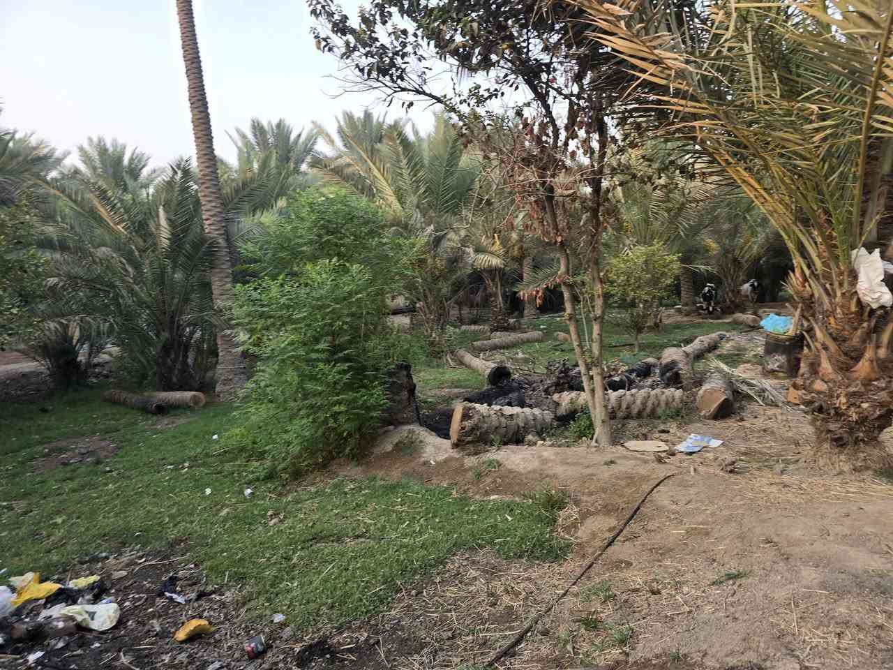 يالله أللهم صل على محمد وآل محمد) 

للبيع قطعة مساحة  1540 متر مع بيت 🏠 بناء قديم طابو زراعي 

سند 25 تحويل مباشر بأسم المشتري 

تتوفر كافة الخدمات 

موقع القطعة الحسينية شارع الابراهيمية 

تبعد عن شارع الابراهيمية 50 متر فقط 

وعن جسر 🌉 الابراهيمية 500 متر 

موقع جيد 

#السعر   200  مليون 

للاستفسار اكثر اتصلوا بالأرقام التالية 

(  ***********  )(  ***********  )

ابو فاطمة او مراجعة مكتب 🏢 النافعي للعقارات -كربلاء 
النافعي للعقار مكتب النافعي للعقارات كربلاء 
بساتين كربلاء عنوان المكتب شارع الحسينية قرب جسر 🌉 الابراهيمية مقابل شارع عون عل سايد الخدمي 

(*********** )( *********** )
