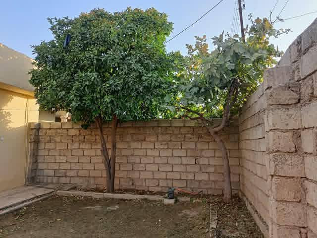 تقليم اشجار حسب طلب ورغبت الزبون💚🌴🌳
اتصل***********
