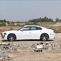 ويل 18 • ويلد • بصره