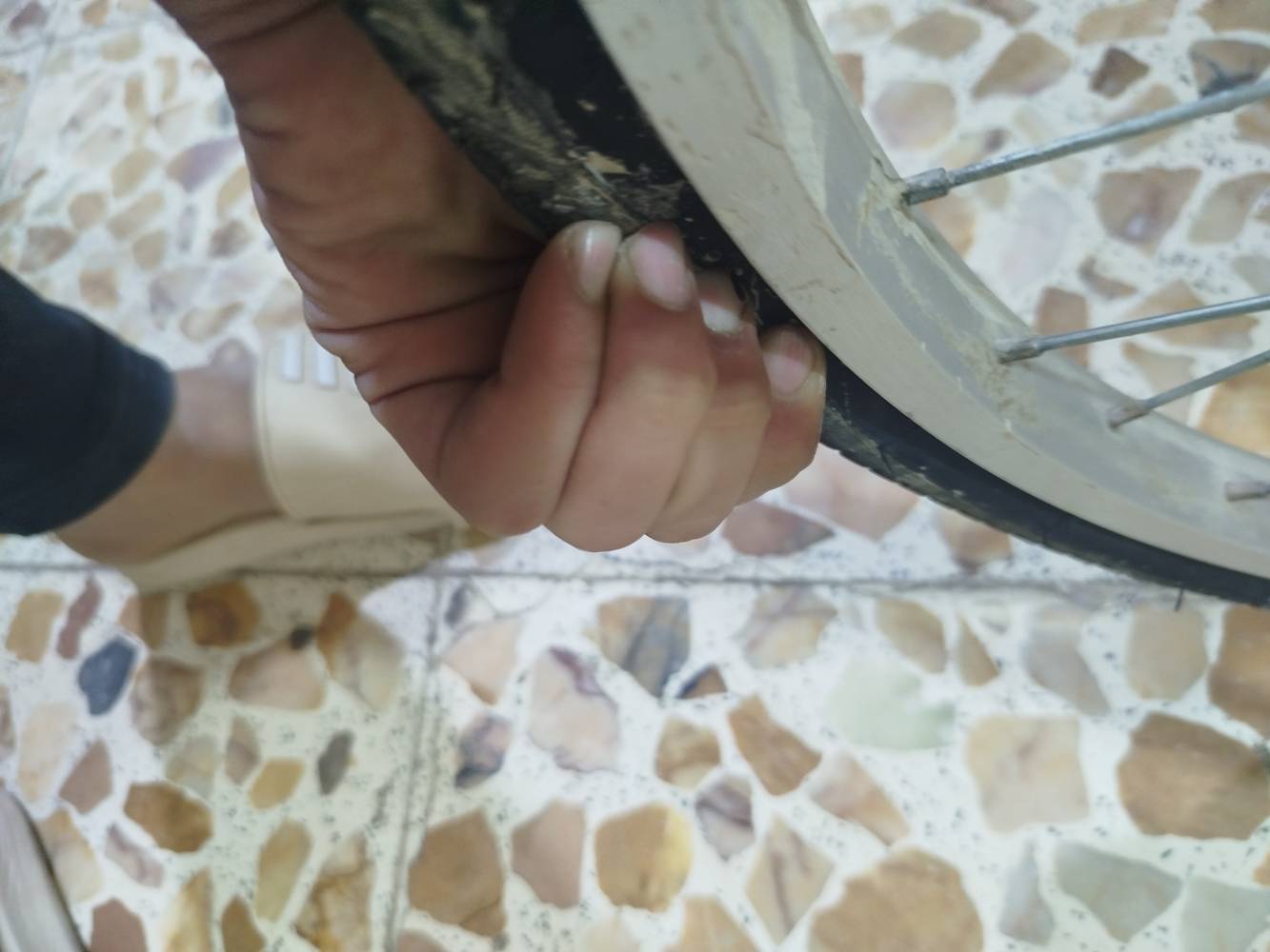 حجم 24 • نضيف • بيدر واحد