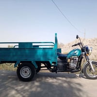 ستوته • مديل ٢٣ • اوراق اصوليه