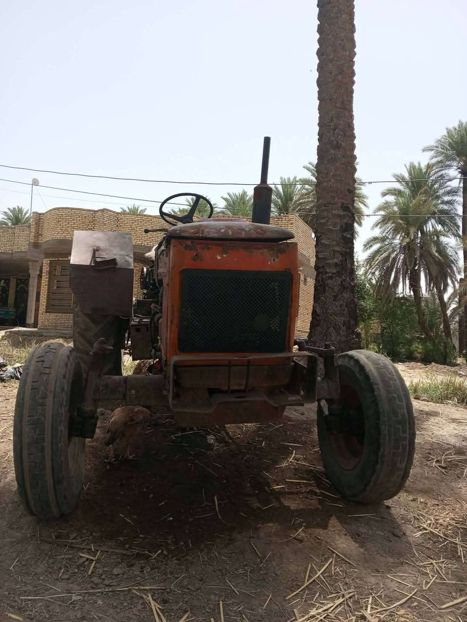 السلام عليكم عنتر موديل 87 للبيع مكينه بدون محرك كير اكسن رفع كله شغال بور ستيرن المكينه بلاديه تريد ترتيب بصيط مكانه كربلاء طويريج استفسار عل الرقم***********
