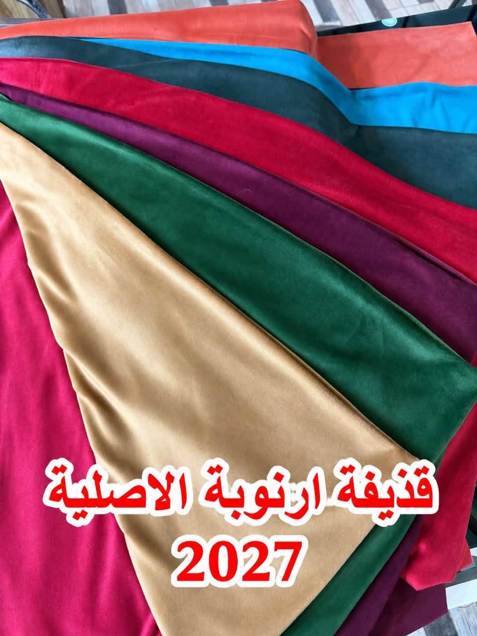 قطيفة ارنوبة • الأسد الذهبي • ٢٠٢٧