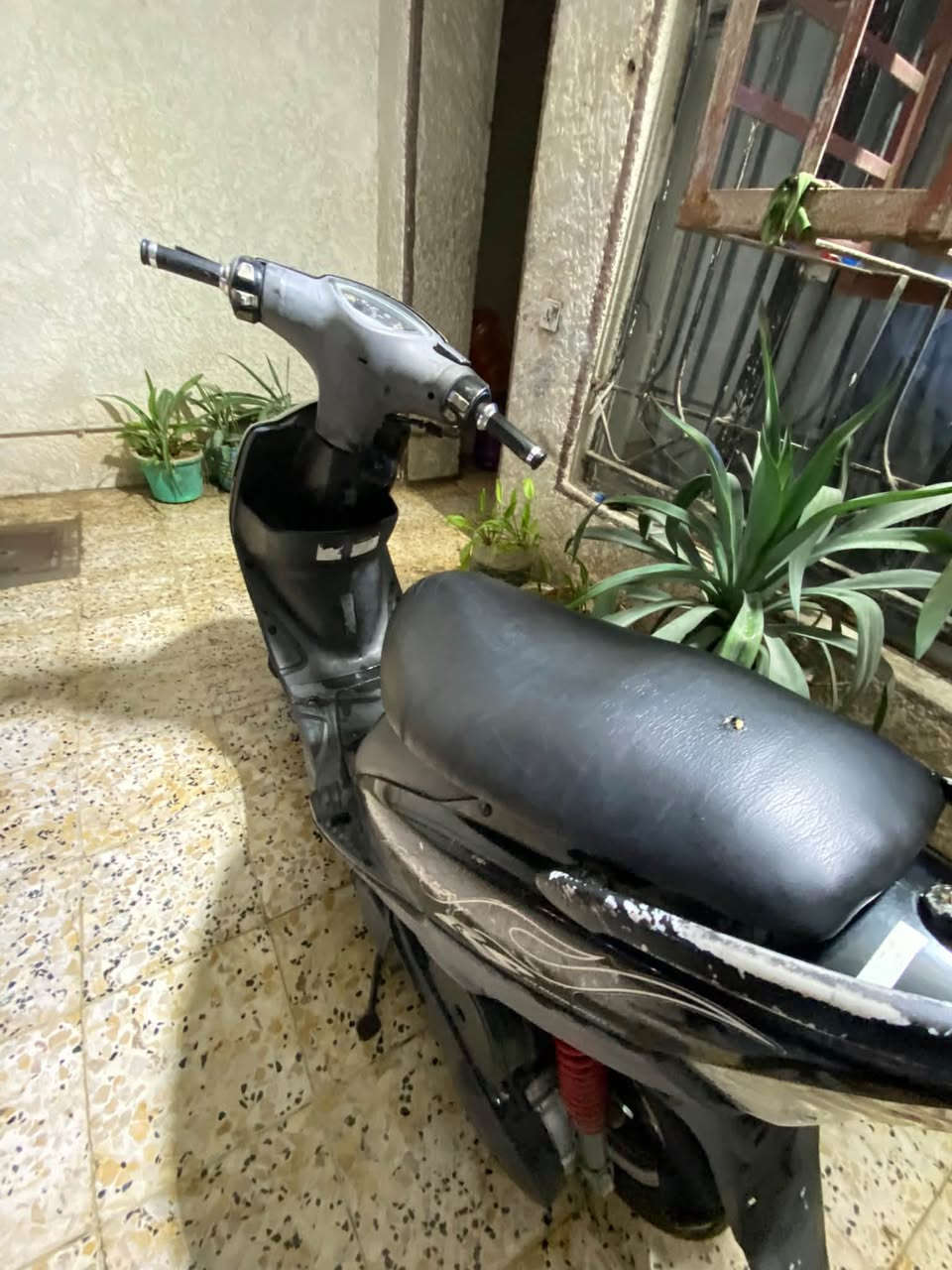 ماكس عدلة • بلاديه • الأمين الثانية