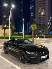 موستنك ايكو بوست • ٢٠١٦ • رقم اربيل