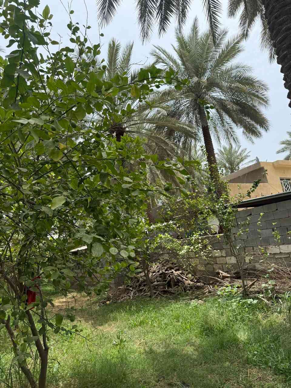 ‏ للبيع أكثر المعلومات الاتصال على الرقم ‭***********‬
