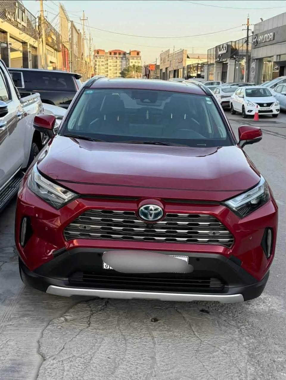 راف فور • ٢٠٢٤ • هايبرد