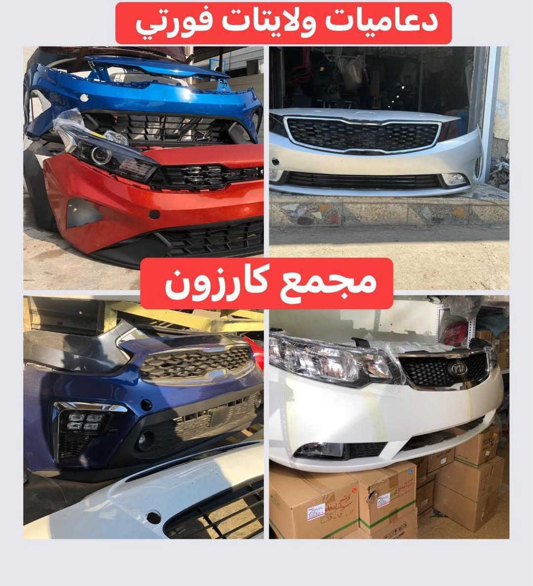 لايتات • دعاميات • مجمع كارزون