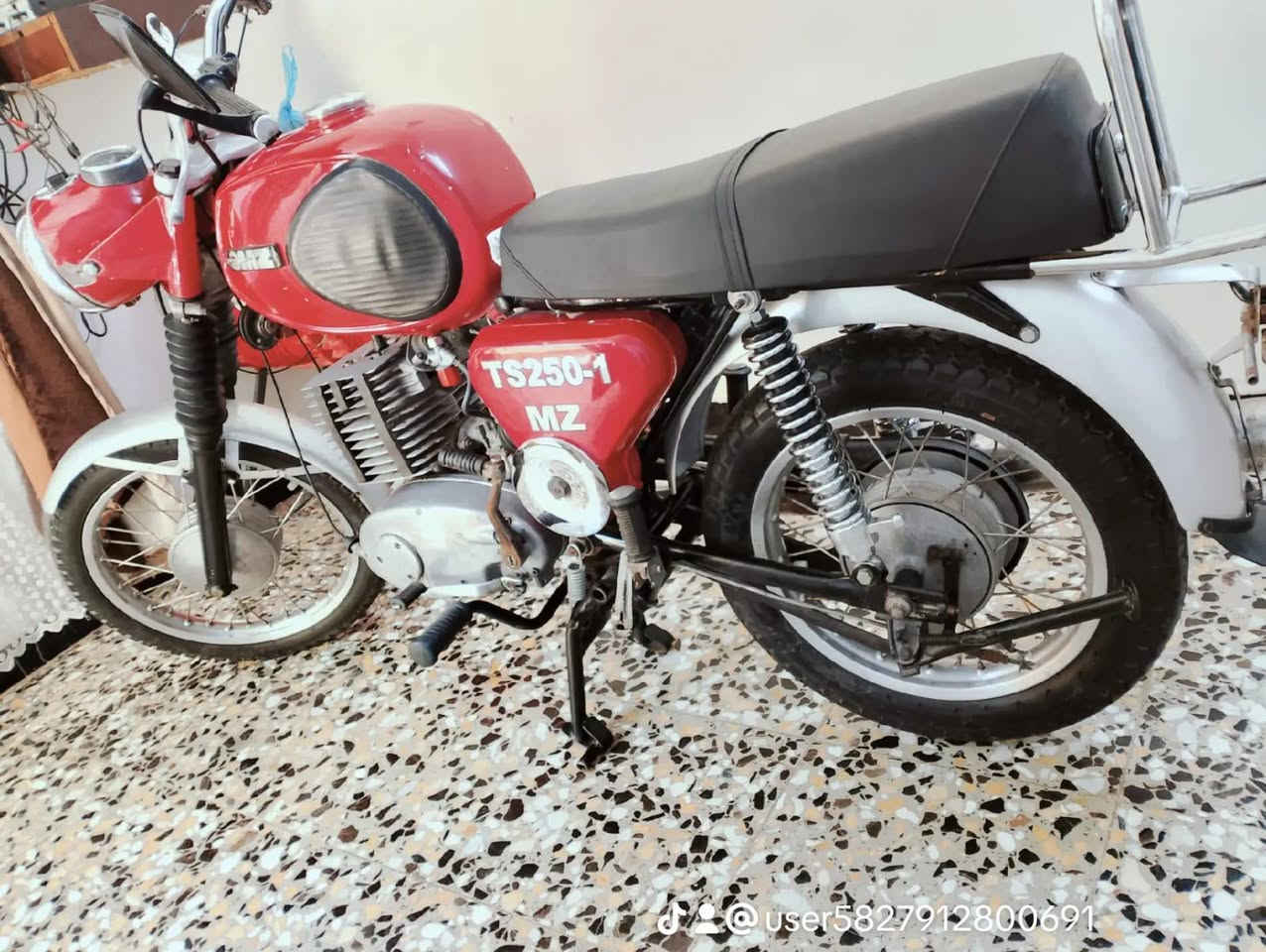 لا تفاصيل • كامون 30 • صور