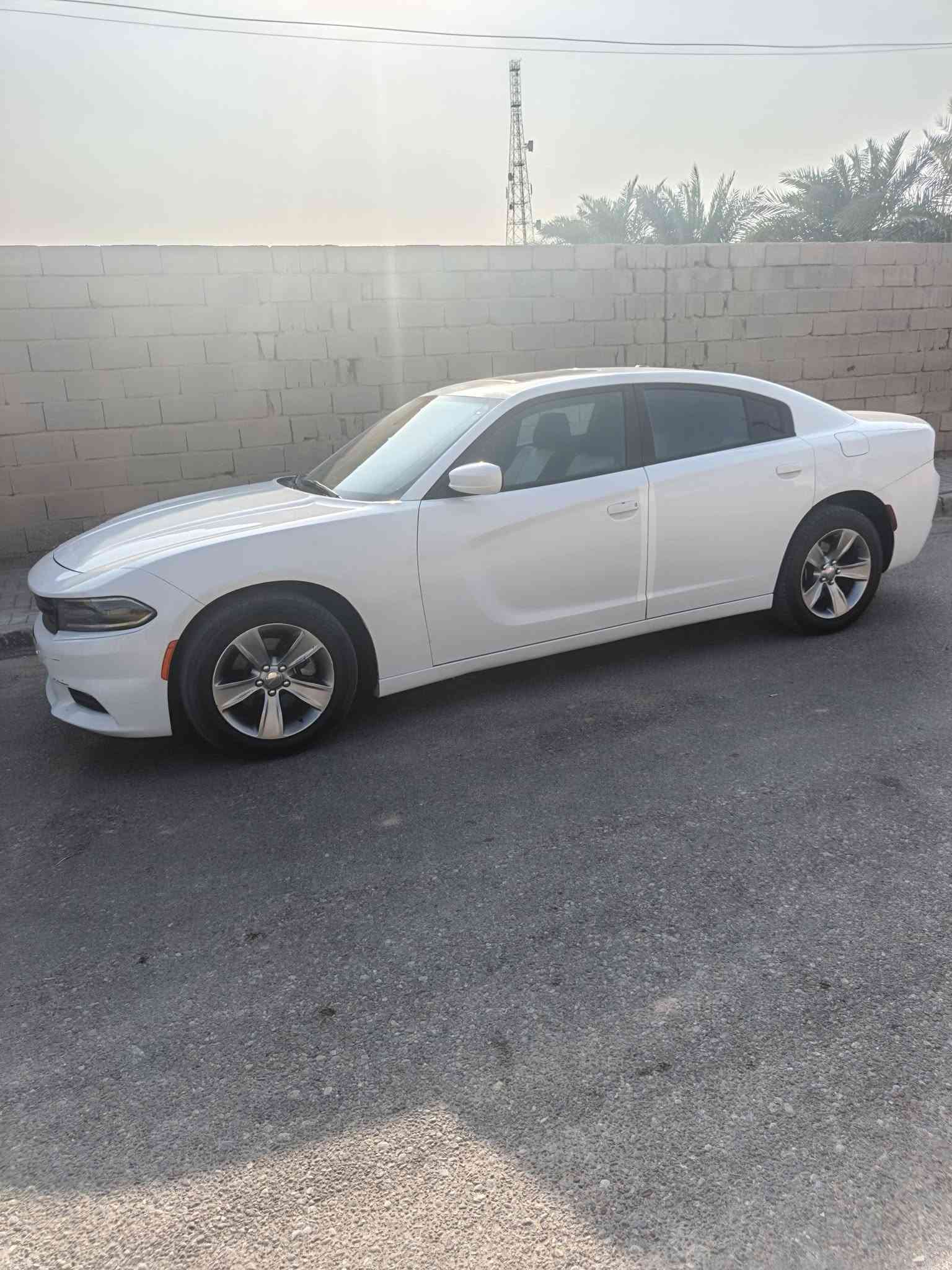 جارجر • ٢٠١٥ • باقي كفالة
