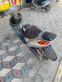 دولفين • رميثه