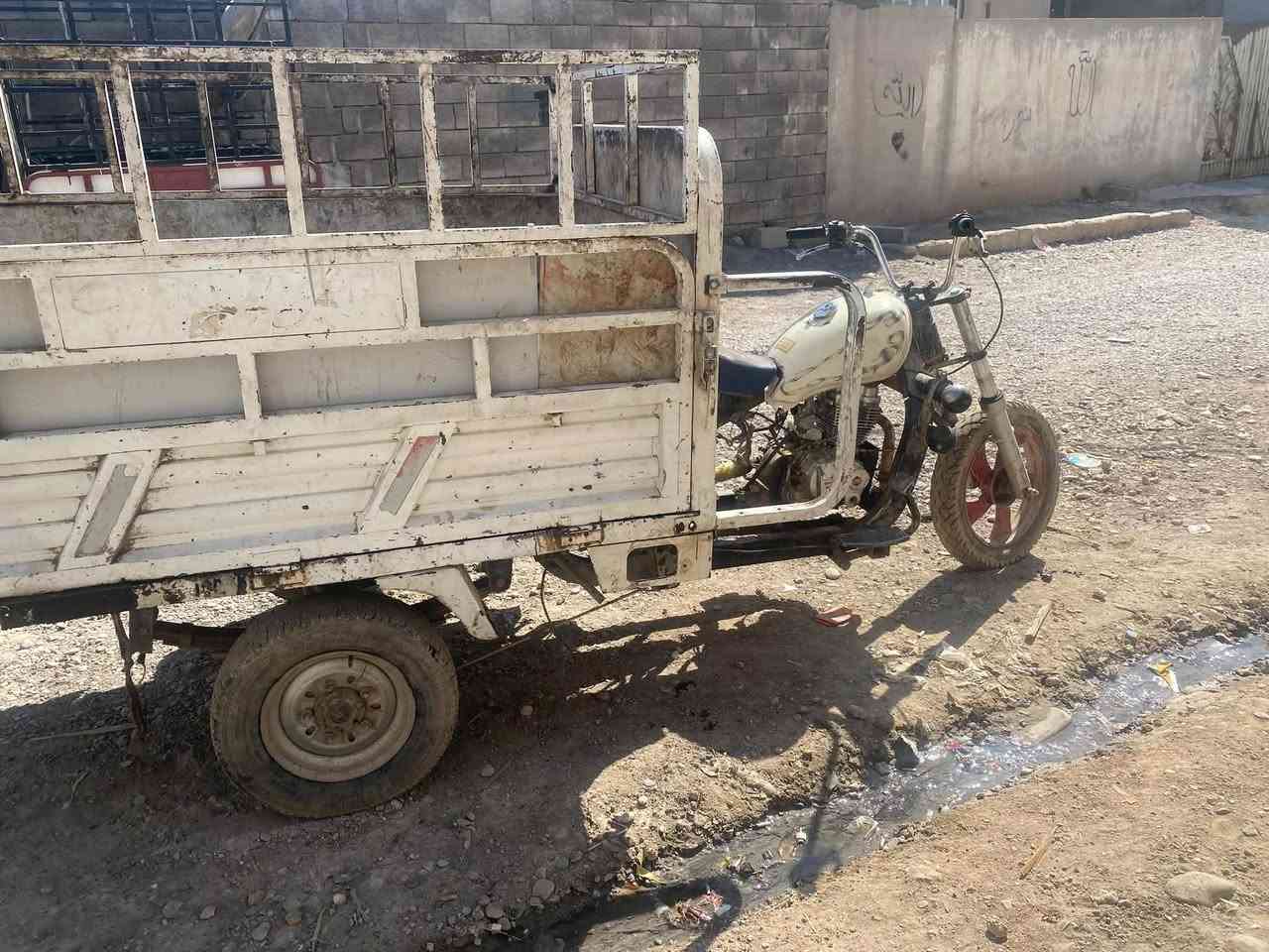 ستوته بعيره البيع *********** واتساب فقط
