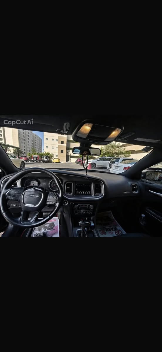 تشارجر SXT • ٢٠١٩ • باب خلفي مضروب