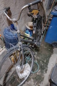 بايسكل • بناتي • مستعمل