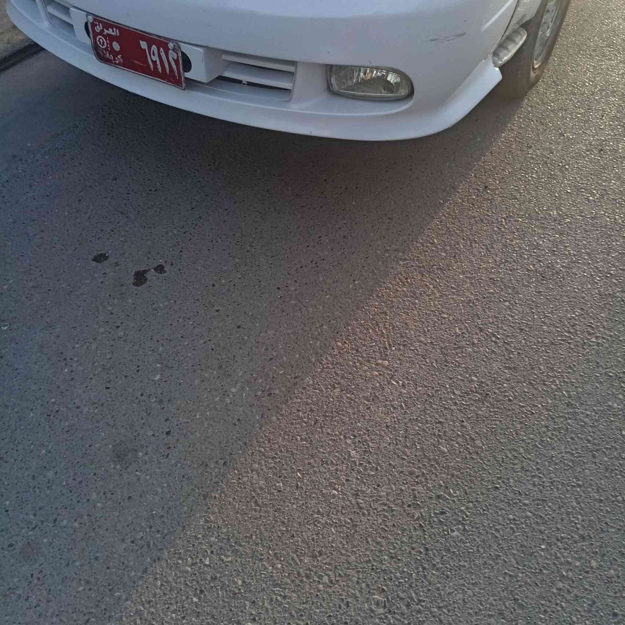 فتون • ٢٠٠٩ • للبيع
