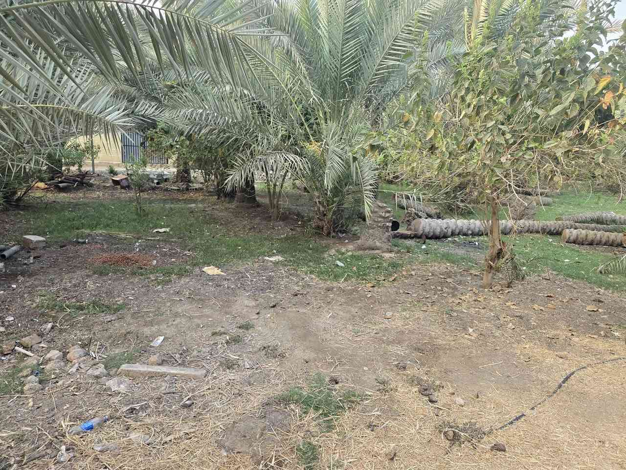 يالله أللهم صل على محمد وآل محمد) 

للبيع قطعة مساحة  1540 متر مع بيت 🏠 بناء قديم طابو زراعي 

سند 25 تحويل مباشر بأسم المشتري 

تتوفر كافة الخدمات 

موقع القطعة الحسينية شارع الابراهيمية 

تبعد عن شارع الابراهيمية 50 متر فقط 

وعن جسر 🌉 الابراهيمية 500 متر 

موقع جيد 

#السعر   200  مليون 

للاستفسار اكثر اتصلوا بالأرقام التالية 

(  ***********  )(  ***********  )

ابو فاطمة او مراجعة مكتب 🏢 النافعي للعقارات -كربلاء 
النافعي للعقار مكتب النافعي للعقارات كربلاء 
بساتين كربلاء عنوان المكتب شارع الحسينية قرب جسر 🌉 الابراهيمية مقابل شارع عون عل سايد الخدمي 

(*********** )( *********** )
