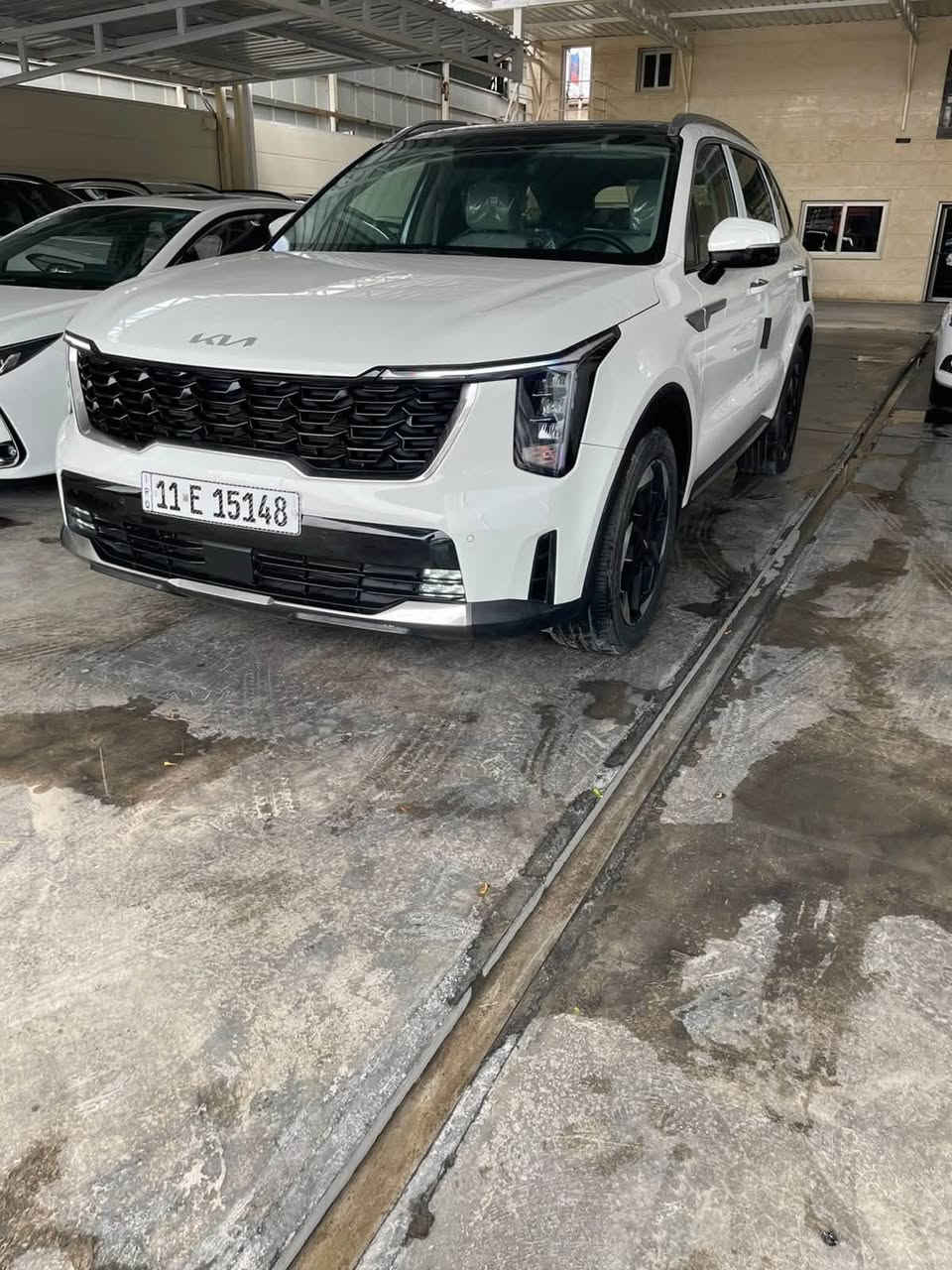 سورينتو • ٢٠٢٤ • ٣٩٠٠٠ كم