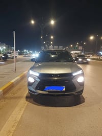 تريل بلايزر • ٢٠٢٣ • حادث سطحي