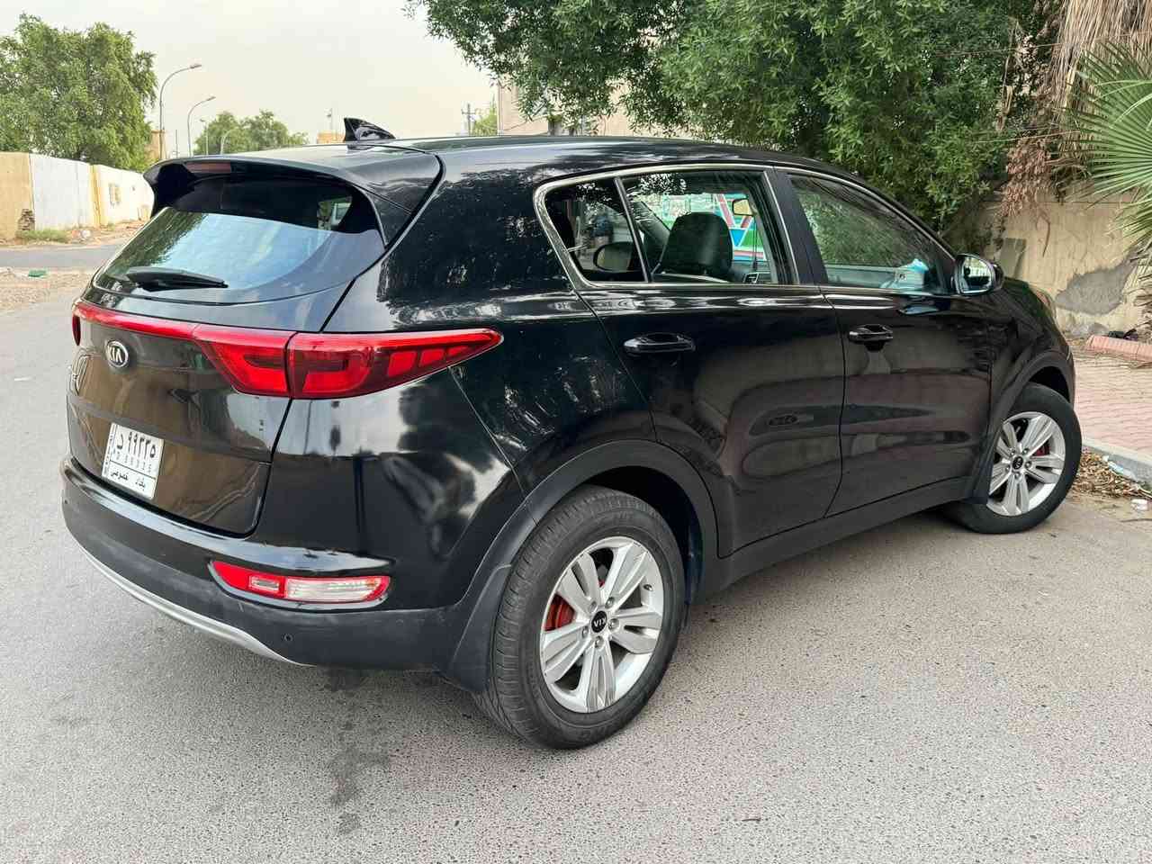 سبورتج • ٢٠١٩ • وارد امريكي