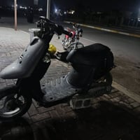 زنبور • ما بي عيب • دوز