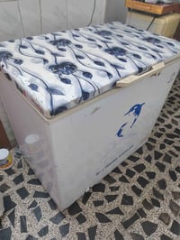 مجمدة • ١٠ قدم • ماتور بلدي