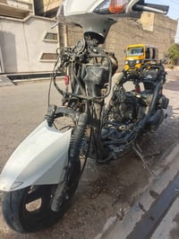 سكنس فحل • دراجة • للبيع