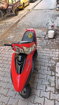 بريز بغبغاء • نوزل • نظيفه