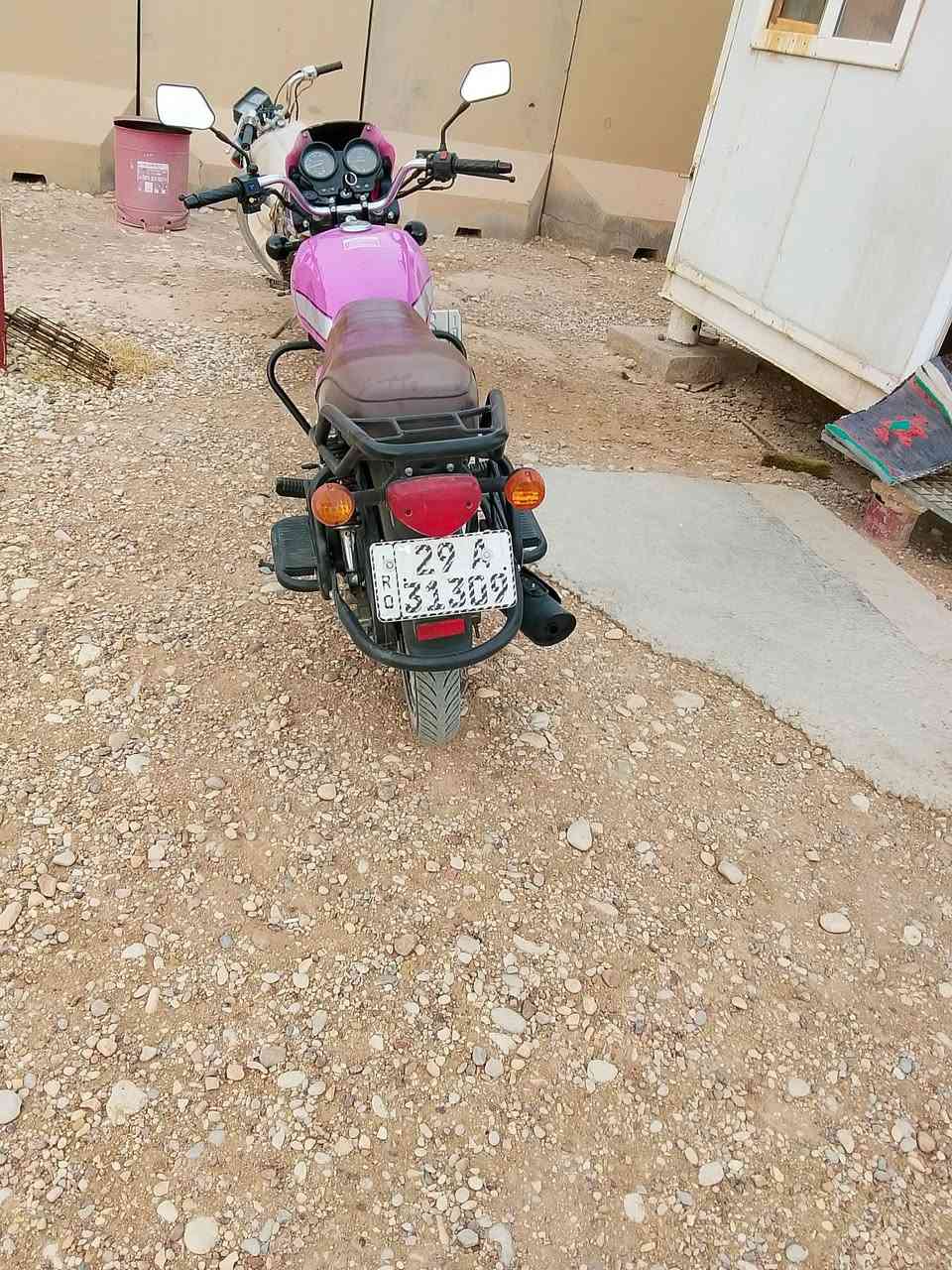 وردي • مكفولة • ٢٠٢٣