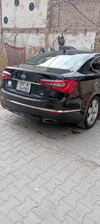 كادنزا • ٢٠١٤ • وارد امريكي