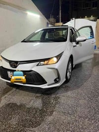 كورلا خليجي • ٢٠٢٤ • رقم بغداد