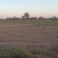 ارض  للببع طابوزراعي سند٢٥ تحويل مباشر خلف جامعة بابل خدمات كامله الاس...