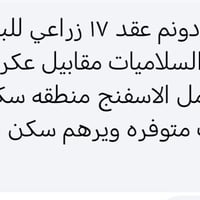 السلاميات • ١٠ • نص بيع