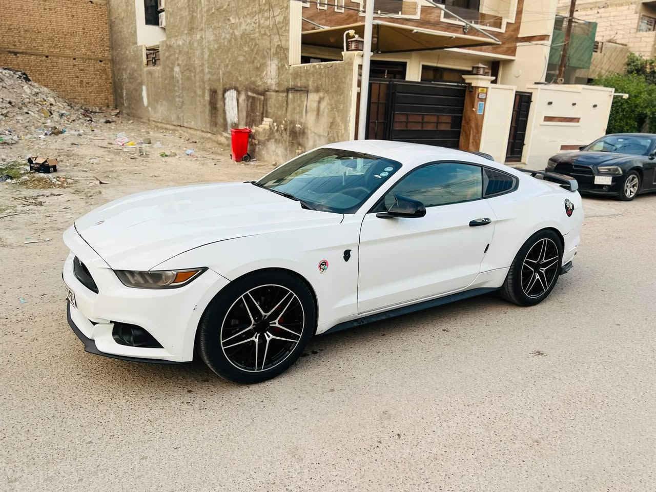 موستنك • ٢٠١٧ • ضرر