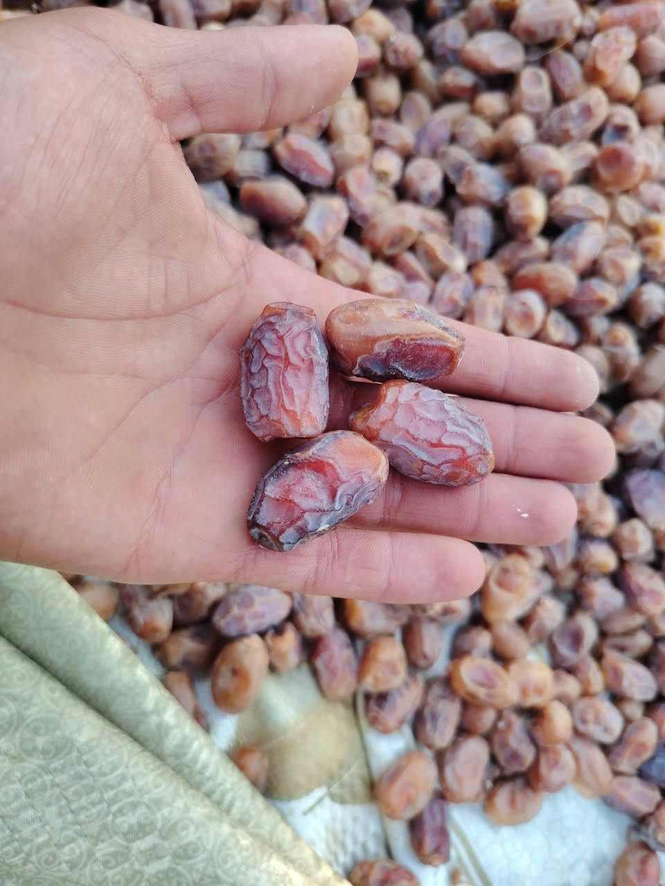 الله هم صلي على محمد وآل محمد السلام عليكم اخوان تمر اشويثي نضيف وملكط وجاهز شكد متريد كميه موجود عنواني بين النصر ولرفاعي بقريت الثلاثه  ***********واتساب
