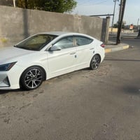 نتره • ٢٠١٩ • وراد مريكي